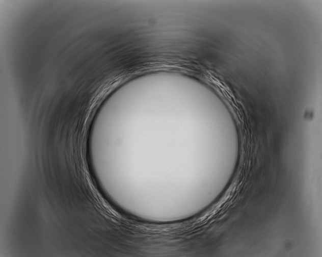 X0000098070049200804040737