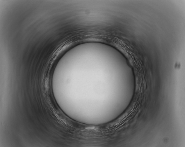 X0000098070050200804040737