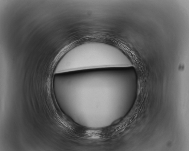 X0000098070051200804040737