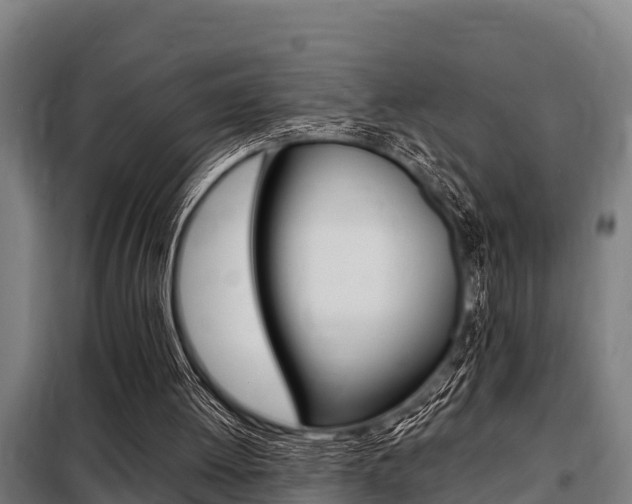 X0000098070052200804040737