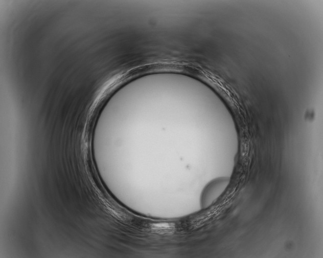 X0000098070053200804040737