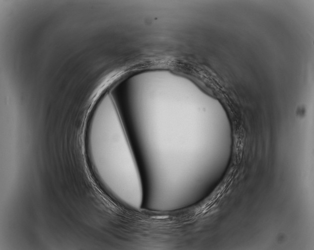 X0000098070054200804040737