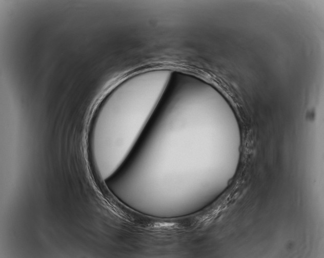 X0000098070055200804040737