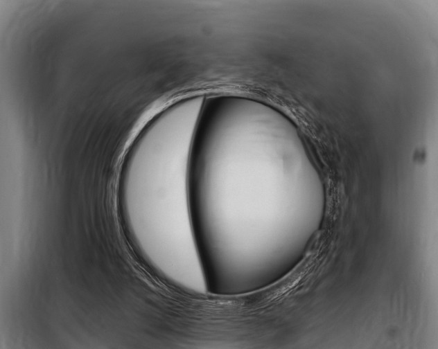 X0000098070056200804040737