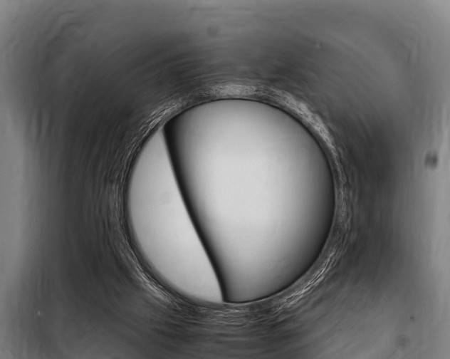X0000098070057200804040737