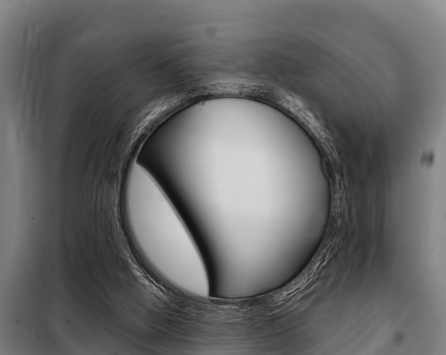 X0000098070058200804040737