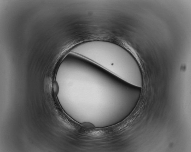 X0000098070059200804040737