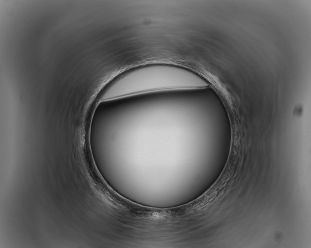 X0000098070060200804040737