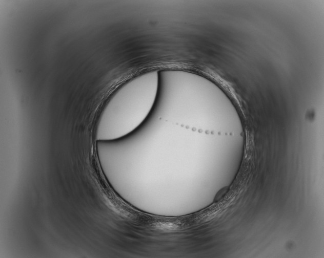 X0000098070061200804040737