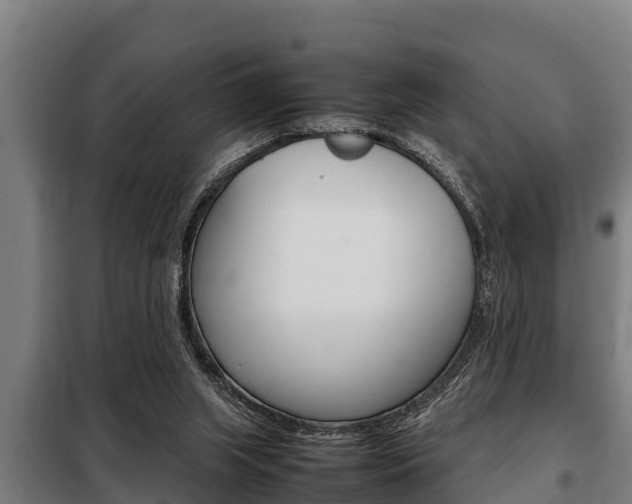 X0000098070063200804040737