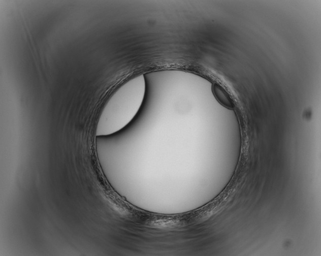 X0000098070065200804040737