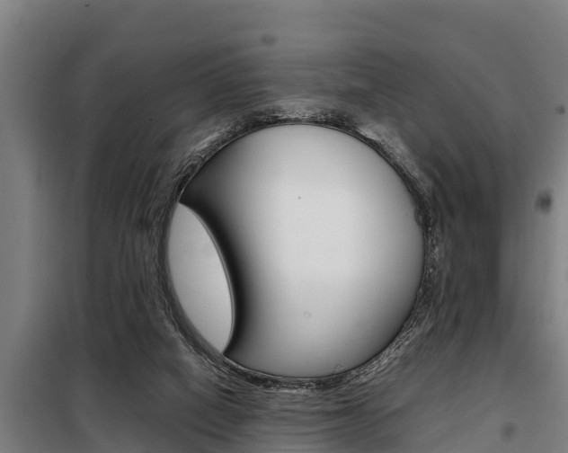 X0000098070066200804040738