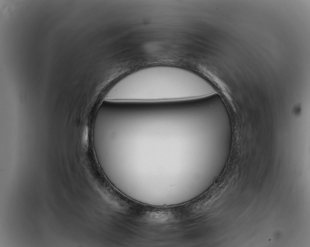 X0000098070067200804040738