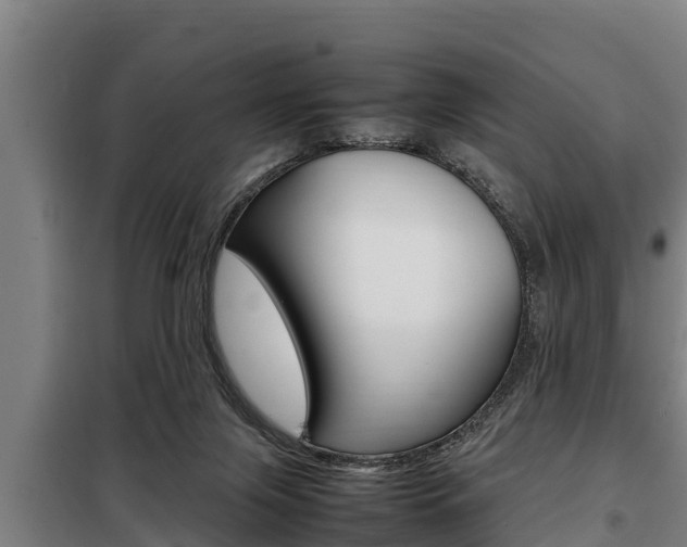 X0000098070071200804040738