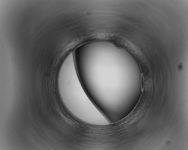 X0000098070072200804040738