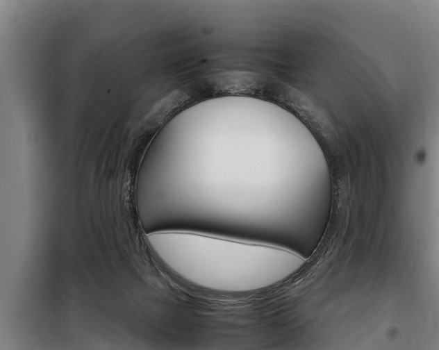 X0000098070073200804040738