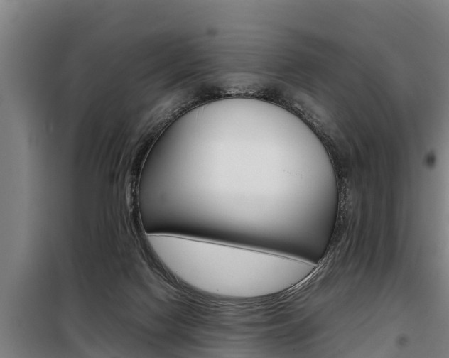 X0000098070074200804040738
