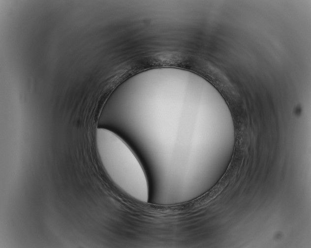X0000098070075200804040738