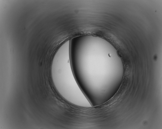 X0000098070076200804040738