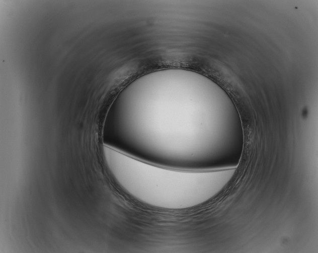 X0000098070080200804040738