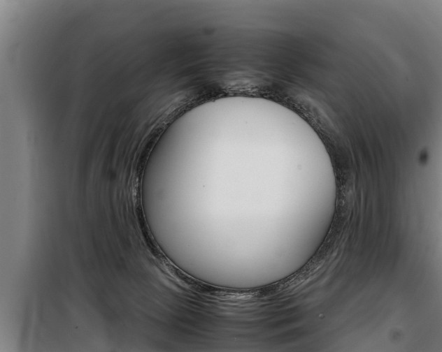 X0000098070081200804040738