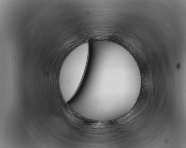 X0000098070082200804040738