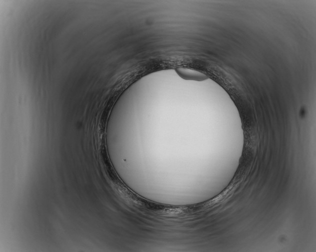 X0000098070086200804040738