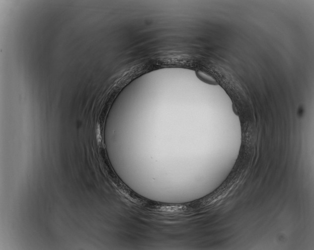 X0000098070089200804040738
