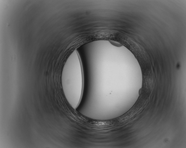 X0000098070091200804040738