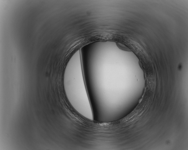 X0000098070092200804040738