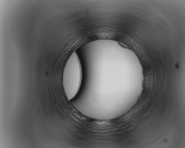 X0000098070093200804040738