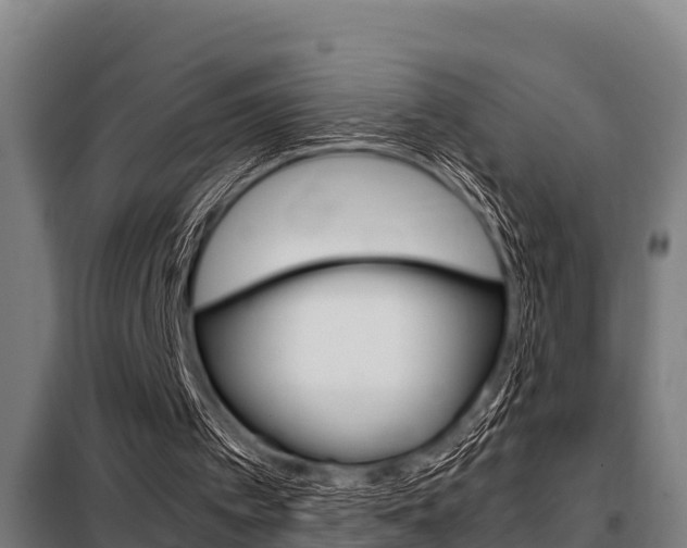 X0000098070097200804040737