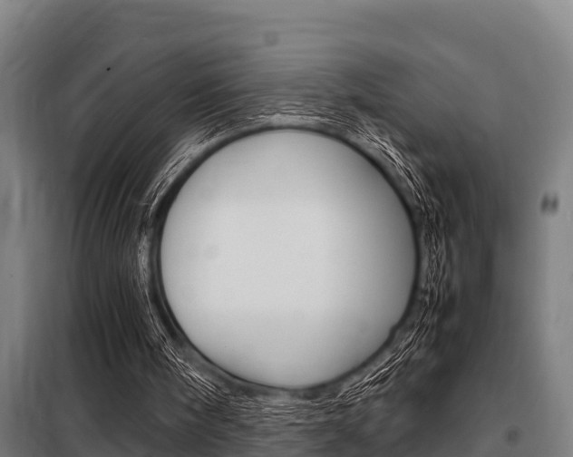 X0000098070098200804040737