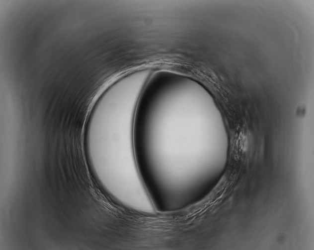X0000098070100200804040737