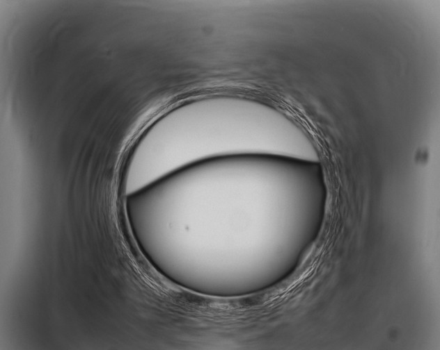 X0000098070101200804040737