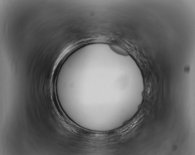 X0000098070102200804040737