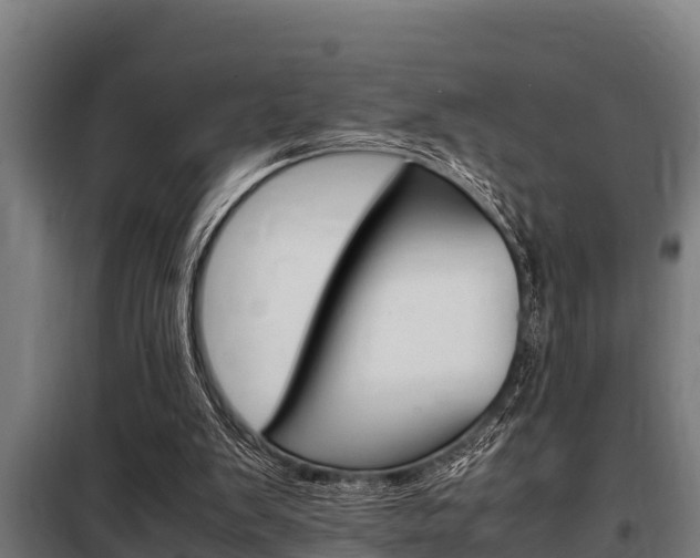X0000098070103200804040737