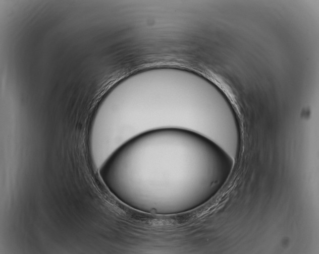X0000098070105200804040737