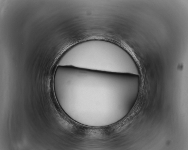 X0000098070106200804040737