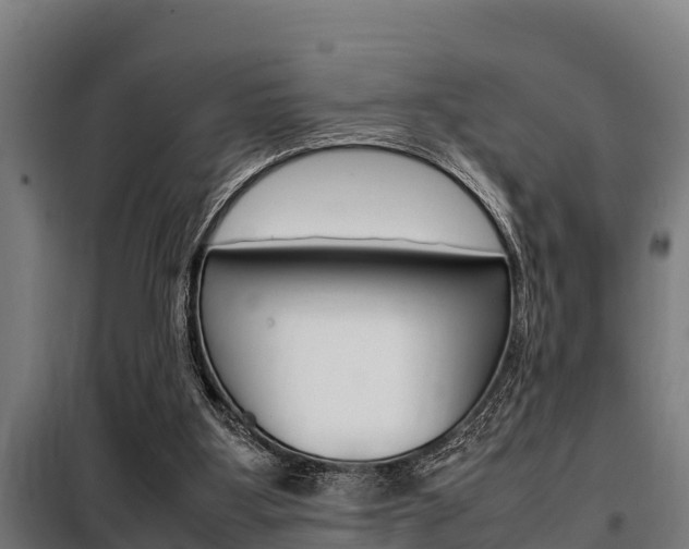 X0000098070107200804040737