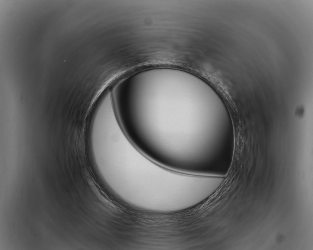 X0000098070108200804040737