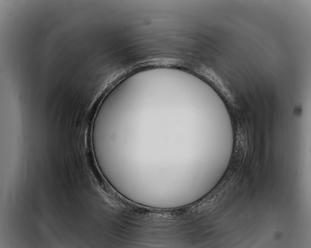 X0000098070110200804040737