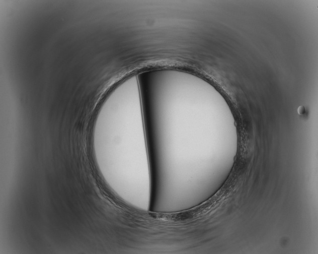 X0000098070111200804040737