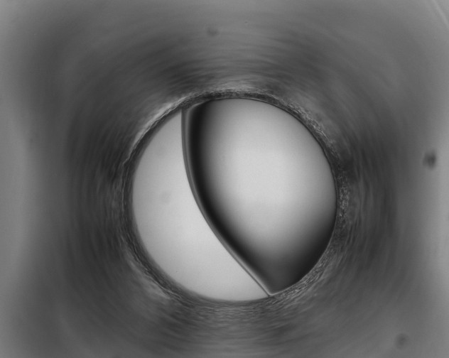 X0000098070112200804040737