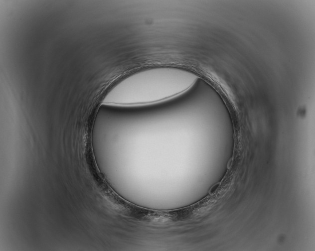 X0000098070113200804040737