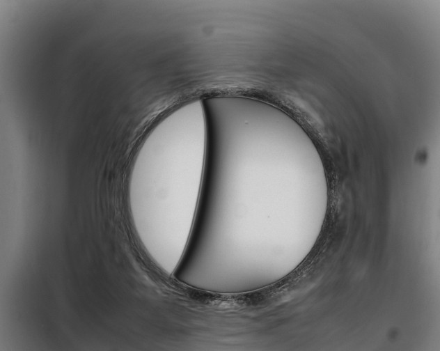 X0000098070115200804040737