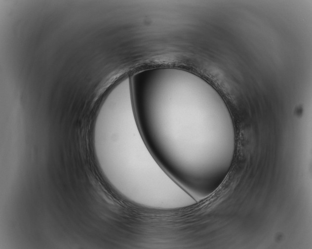 X0000098070116200804040737