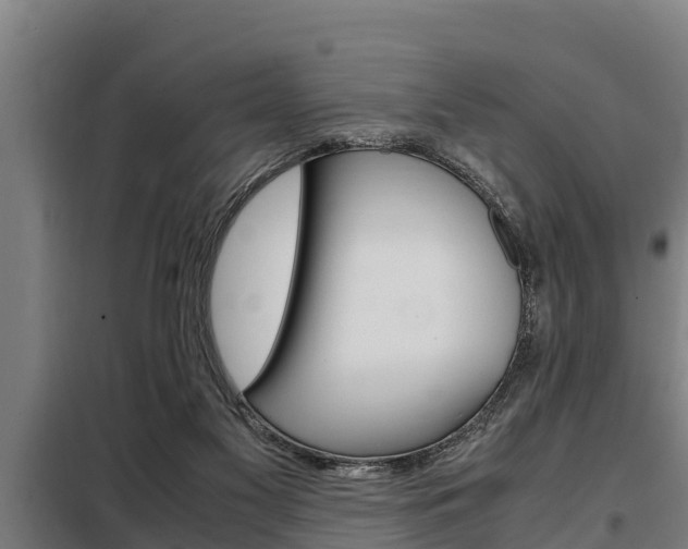 X0000098070117200804040737