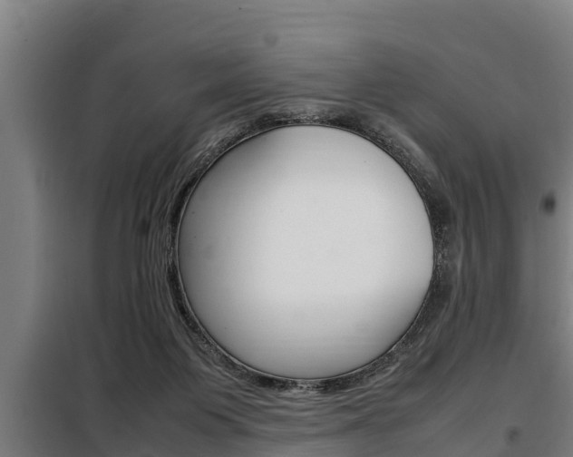X0000098070119200804040737