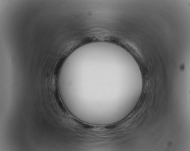 X0000098070121200804040737